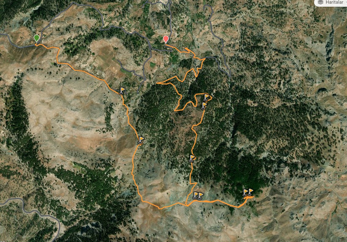 akkavaklar.jpg (397002 bytes)
