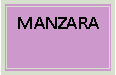 Metin Kutusu: MANZARA