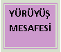 Metin Kutusu: Y�R�Y�� MESAFES�