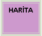 Metin Kutusu: HAR�TA