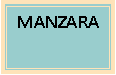 Metin Kutusu: MANZARA