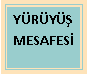 Metin Kutusu: Y�R�Y�� MESAFES�