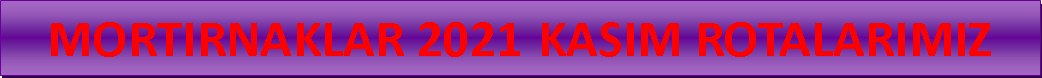 Metin Kutusu: MORTIRNAKLAR 2021 	KASIM ROTALARIMIZ