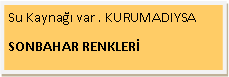 Metin Kutusu: Su Kayna�� var . KURUMADIYSASONBAHAR RENKLER�